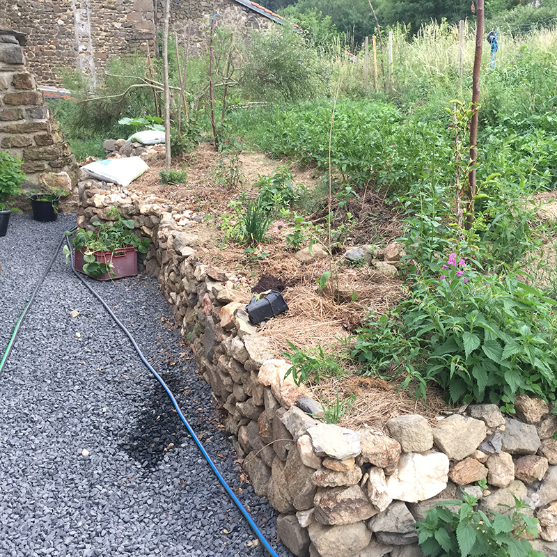 Le jardin 2019 - la ferme d'autonome le blaireau