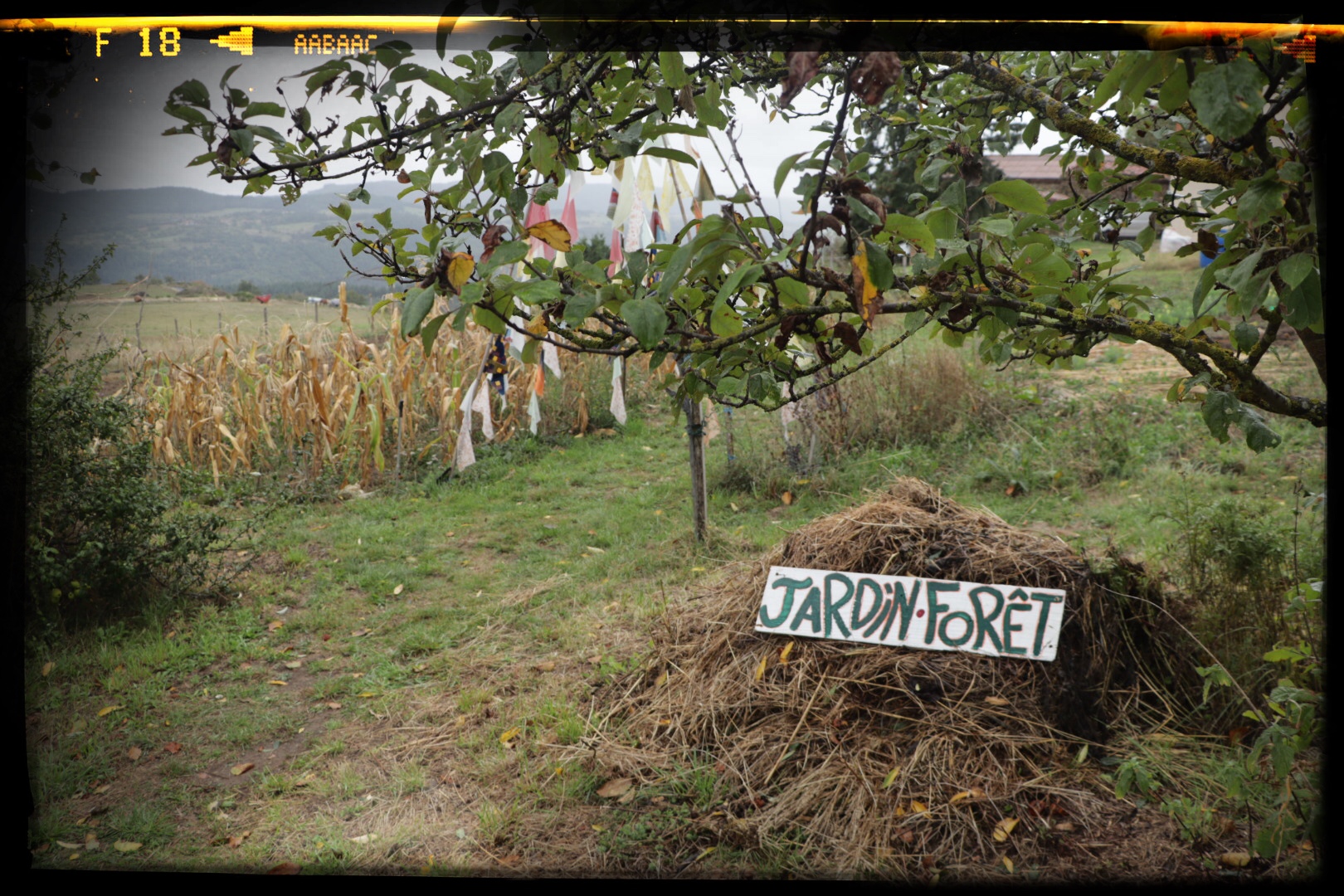 La Faites des Jardins 2020-foret jardin 23-La Ferme Autosuffisante