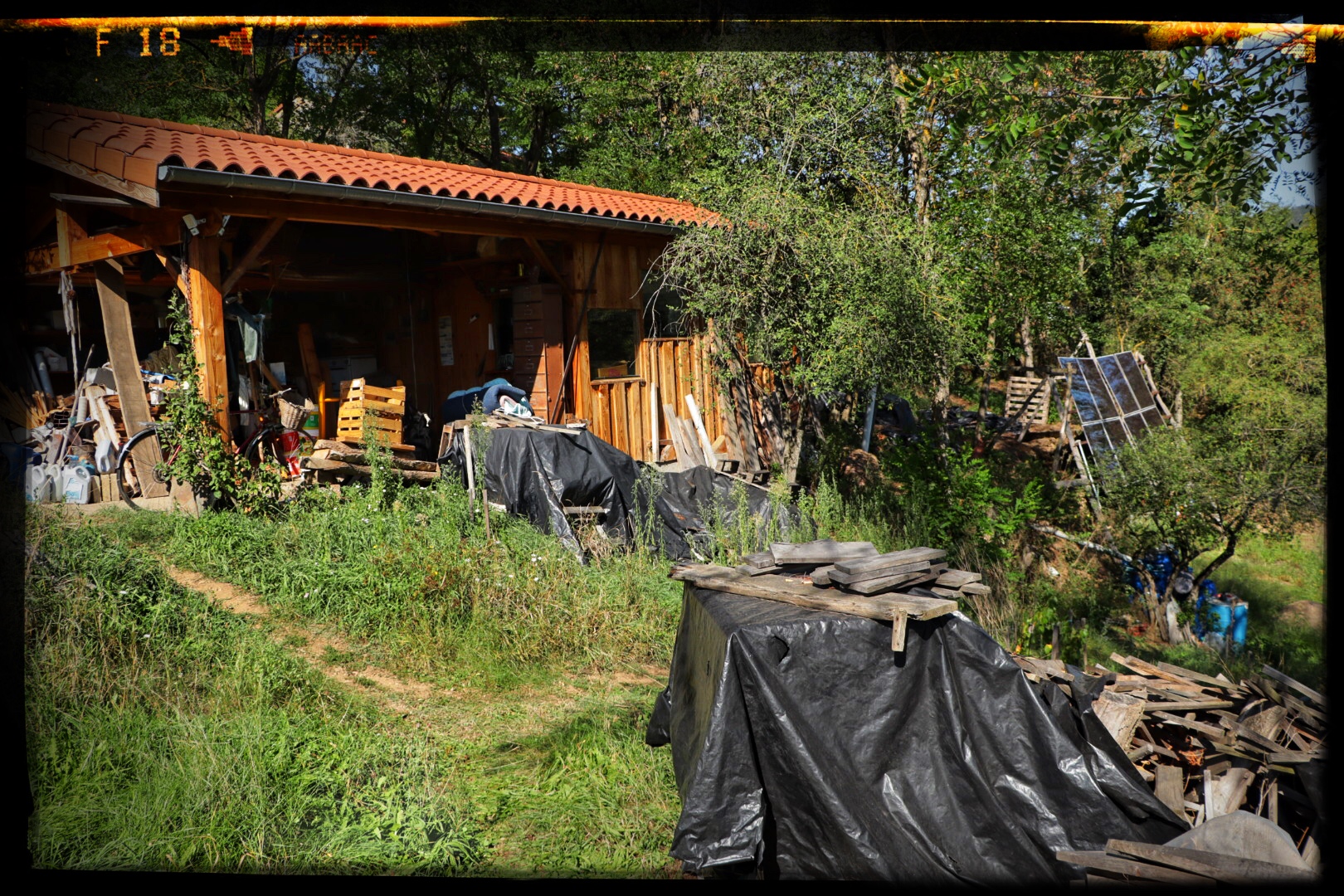 La ferme autosuffisante - Visite du jardin de Pascal Delcour - 6